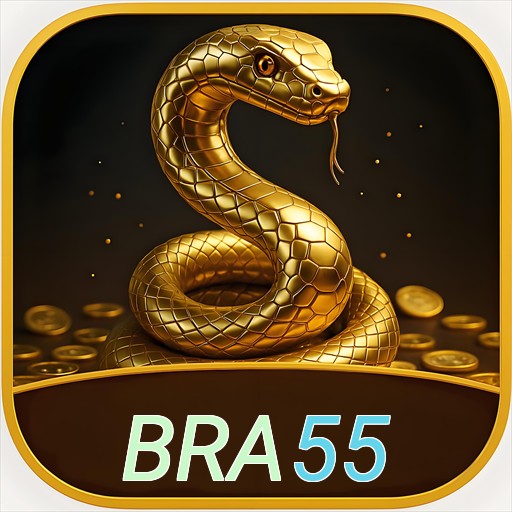 BRA55.com logo